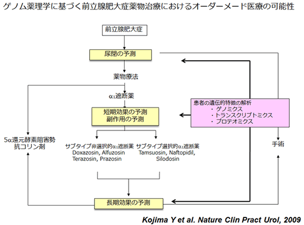 薬 前立腺 肥大 症