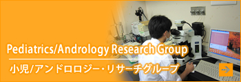 Pediatrics/Andrology Research Groupi/AhW[ET[`O[vj